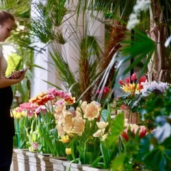 Пальма из чемодана. Как в Царицыно вернули тропики Екатерины II