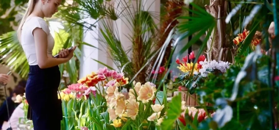 Пальма из чемодана. Как в Царицыно вернули тропики Екатерины II