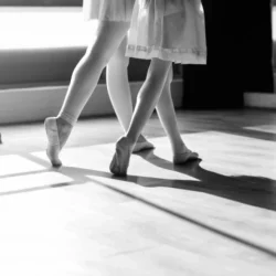 В Донецке возродят фестиваль «Звёзды мирового балета»