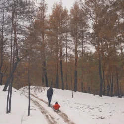 В тайге насмерть замерз многодетный отец с 4-летним сыном: детали трагедии, которые ставят в тупик