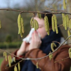 Врач перечислила главные весенние аллергены