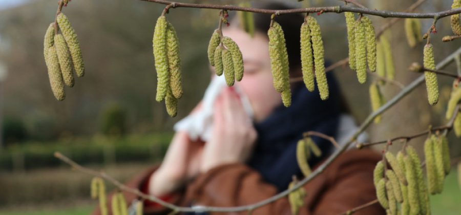 Врач перечислила главные весенние аллергены