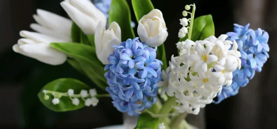 Выбор букета с гиацинтами: ароматная элегантность для любого повода