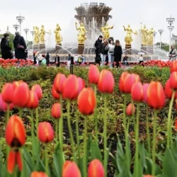 Мюзикл у фонтана. Что посмотреть в новом сезоне ВДНХ