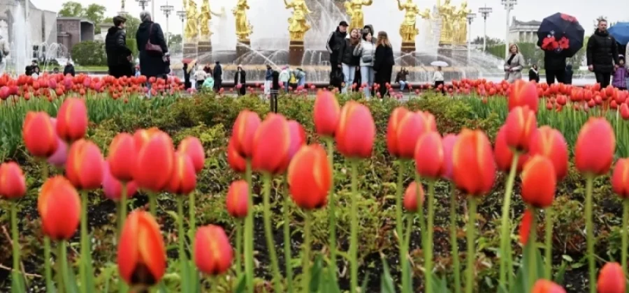 Мюзикл у фонтана. Что посмотреть в новом сезоне ВДНХ