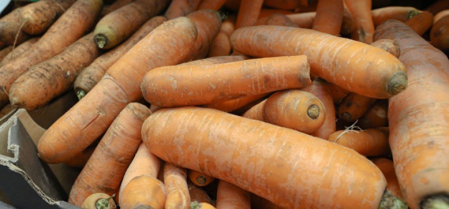 Названа важная часть овощей, которую многие ошибочно выбрасывают