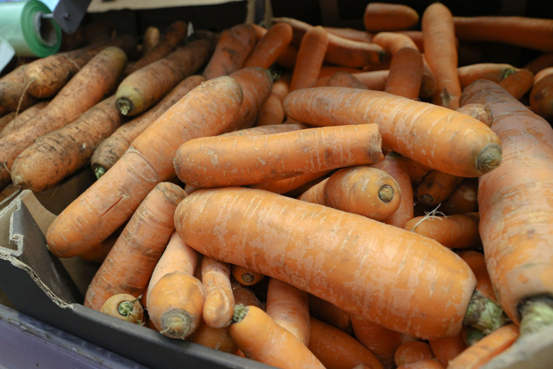 Названа важная часть овощей, которую многие ошибочно выбрасывают