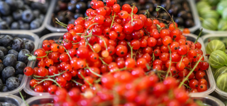 Россиянам перечислили лучшие продукты для здоровья почек