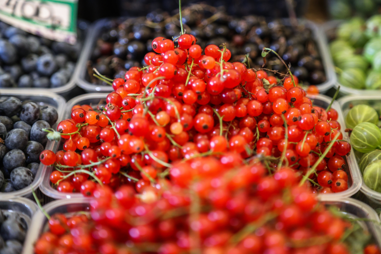 Россиянам перечислили лучшие продукты для здоровья почек