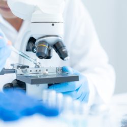 Российские ученые впервые нашли способ убрать метастазы