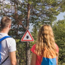 Спасаемся от нападения клещей и энцефалита: семь рабочих советов врача