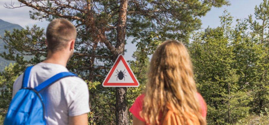 Спасаемся от нападения клещей и энцефалита: семь рабочих советов врача