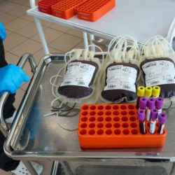 Врач рассказала, как донорская кровь используется в трансплантологии