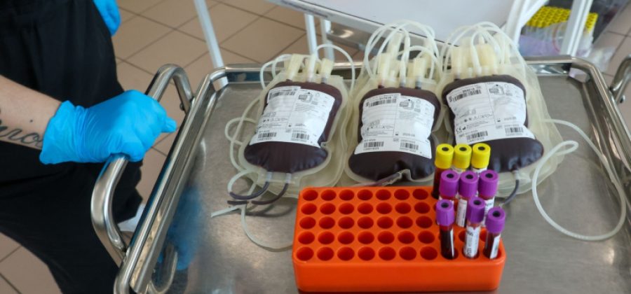 Врач рассказала, как донорская кровь используется в трансплантологии