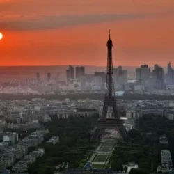 Житель Парижа выиграл картину Пикассо «Женская голова» стоимостью €1 млн