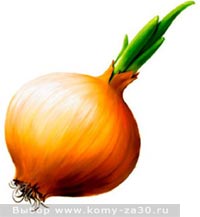 Лечение луком