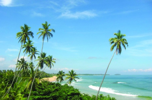Шри-Ланка - недорого и красиво!