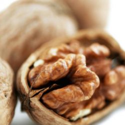 Перегородки грецких орехов: лечебные свойства и противопоказания