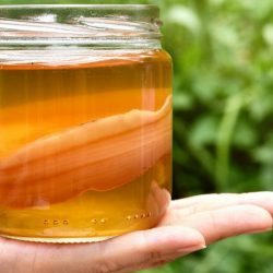 Как пить напиток на основе чайного гриба, чтобы похудеть?