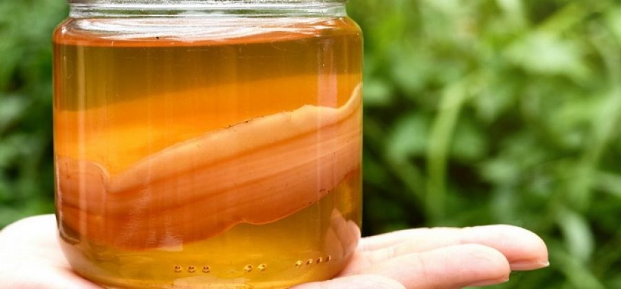 Как пить напиток на основе чайного гриба, чтобы похудеть?