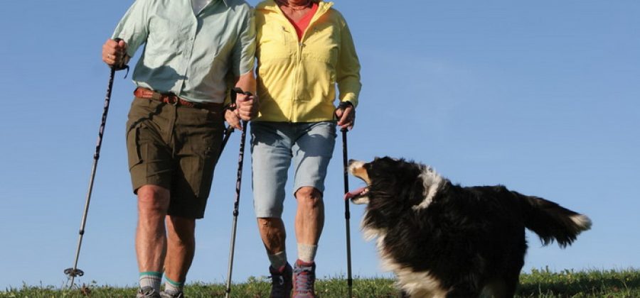Почему пожилым рекомендуют скандинавскую ходьбу — польза и правила