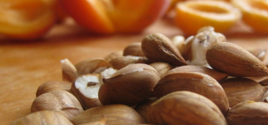 Ядра абрикосовых косточек  — полезны или вредны? Правила приёма