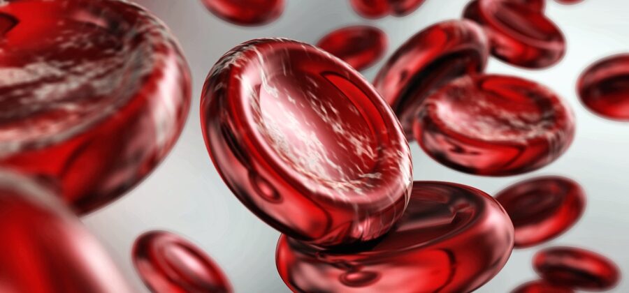 5 правил питания, которые помогают понизить гемоглобин в крови